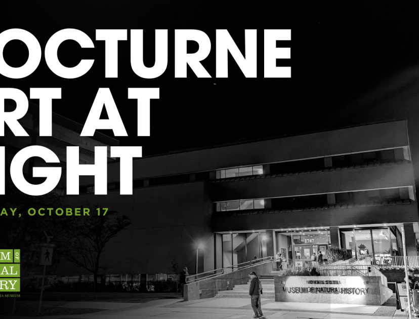 Nocturne at the Museum of Natural History