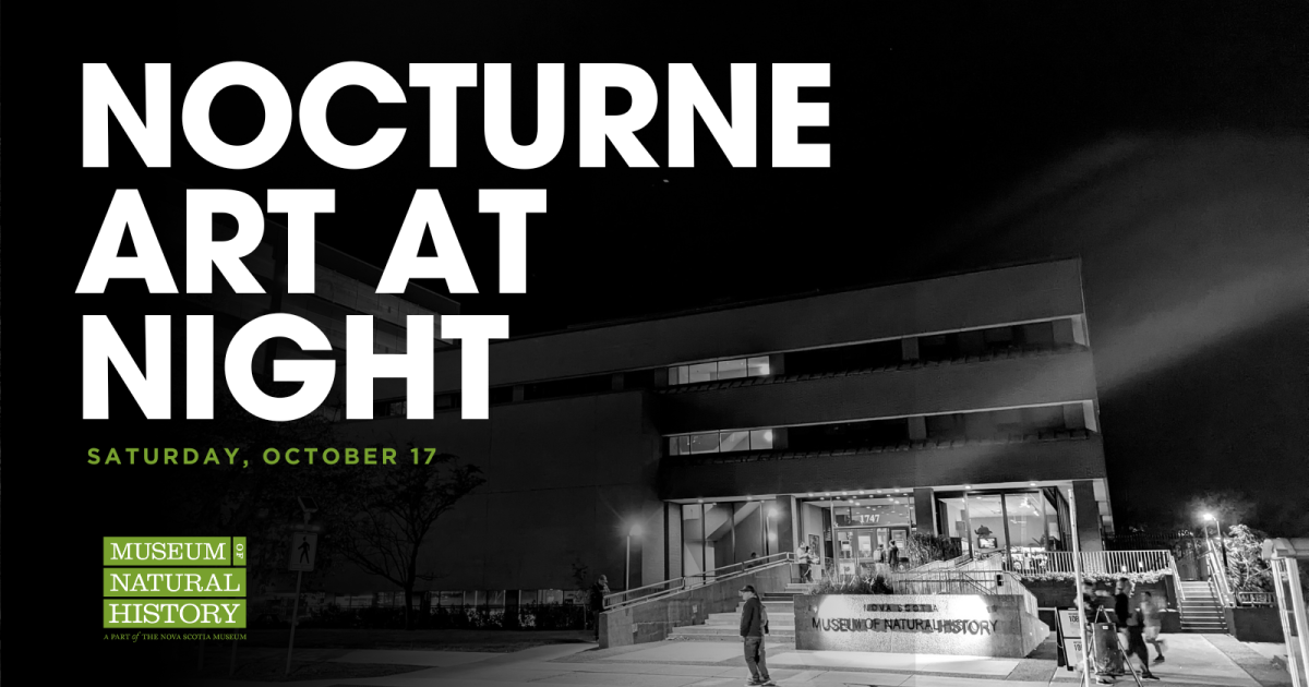 Nocturne at the Museum of Natural History
