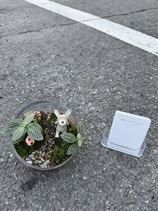 Ms. H Terrarium – Oct 17