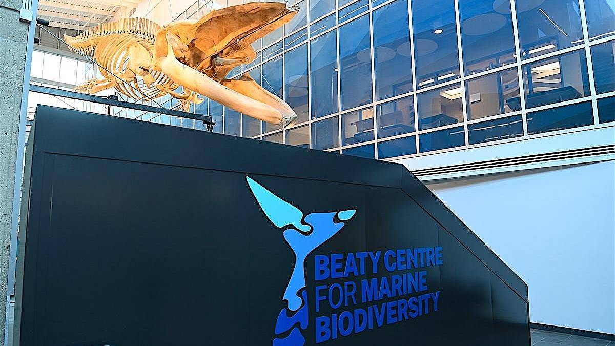Faculty of Science Night at the Beaty Centre for Marine Biodiversity