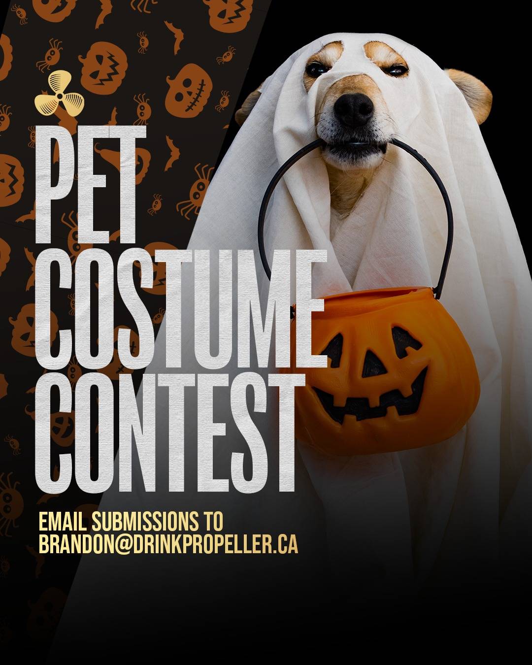 Pet Halloween Costume Contest