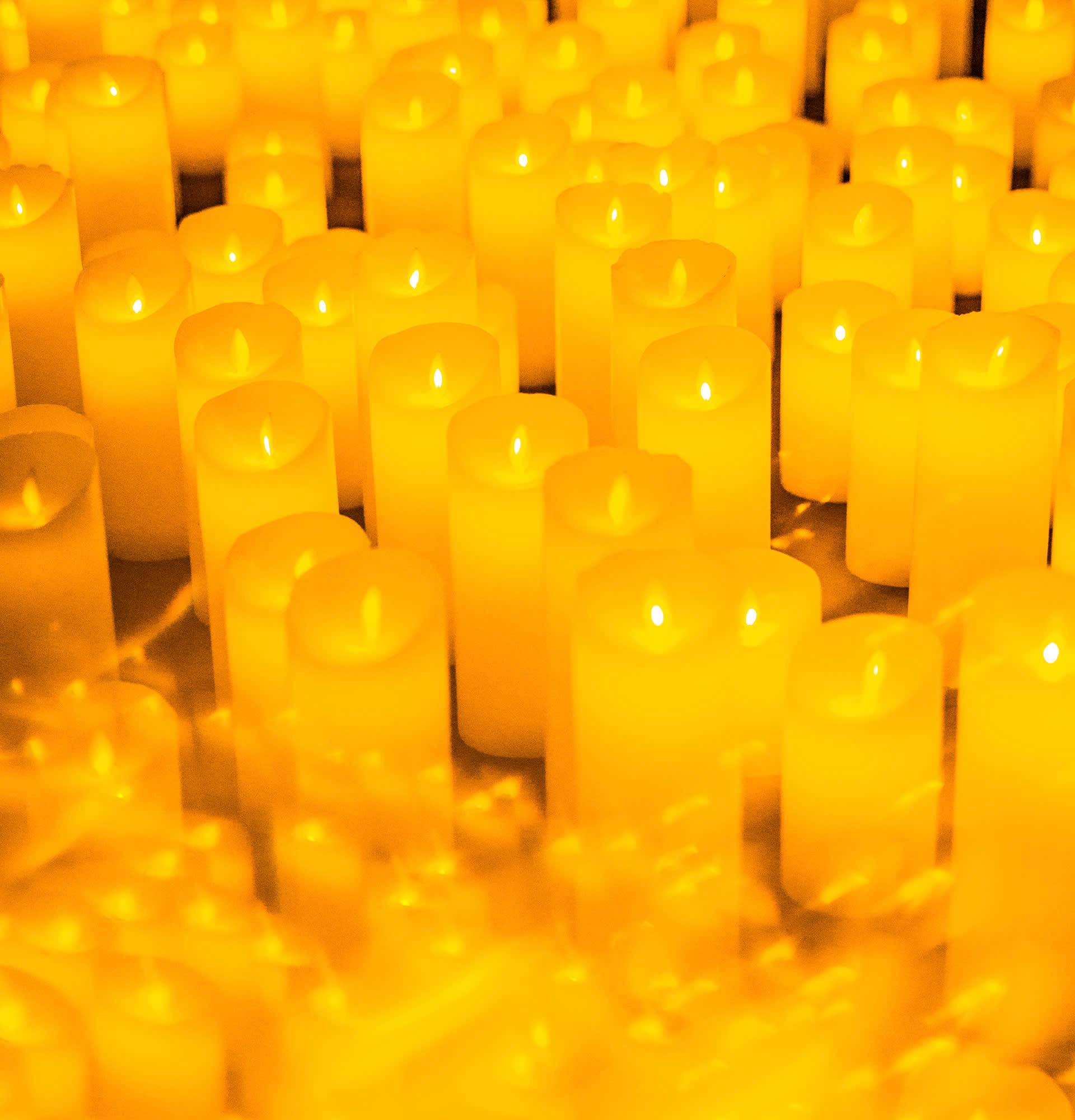 Candlelight: Vivaldi’s Four Seasons & More