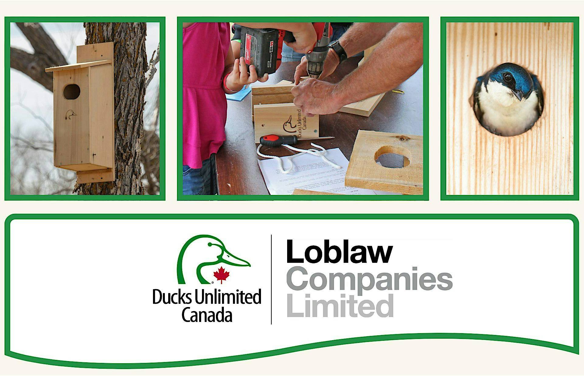 Songbird Nest-Box Building with Ducks Unlimited Canada