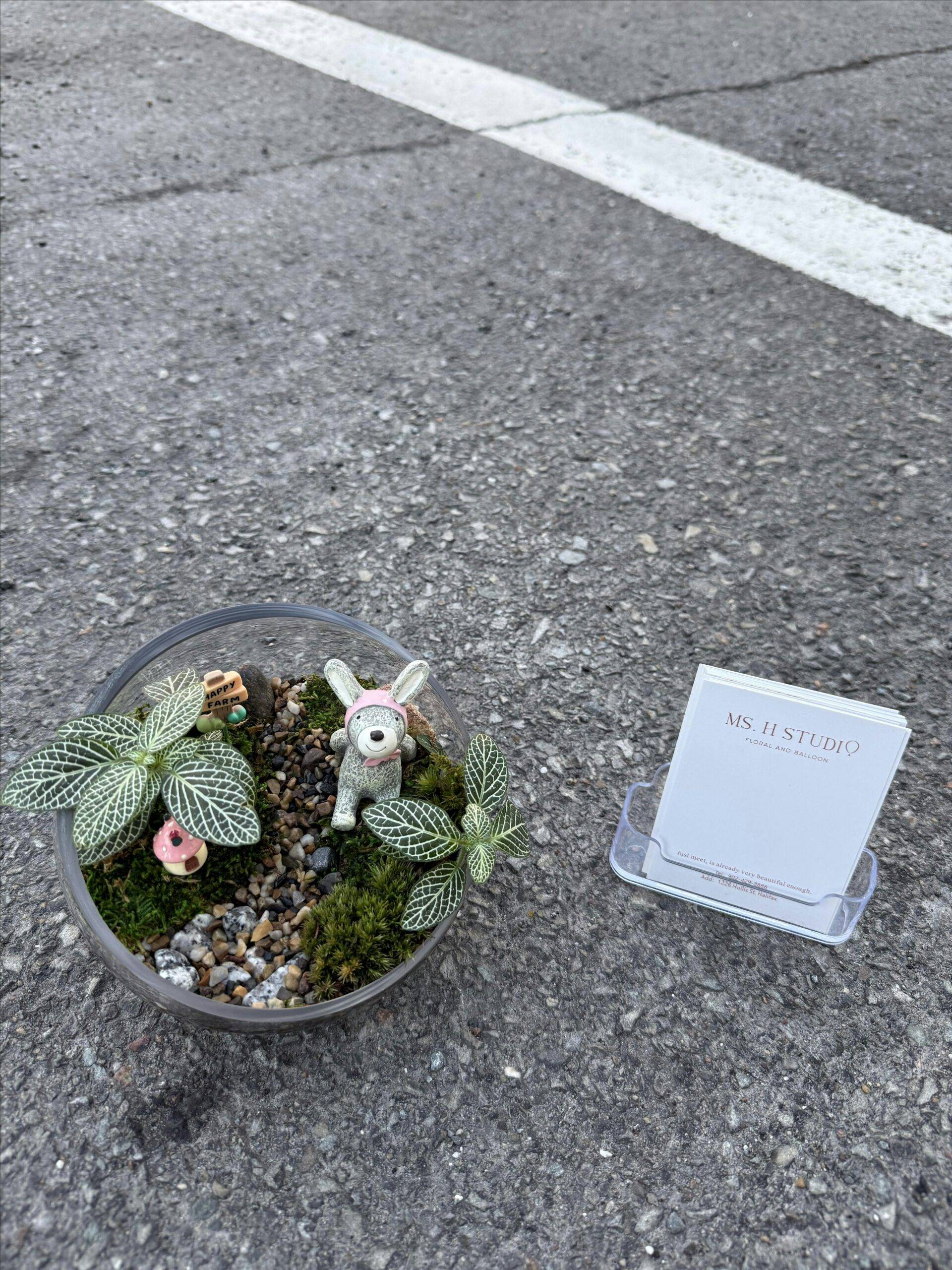 Ms. H Terrarium – Oct 24