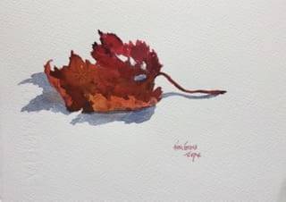 Workshop: Intro to Watercolour