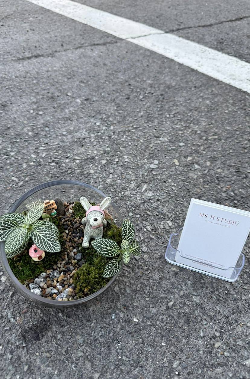 Ms. H Terrarium