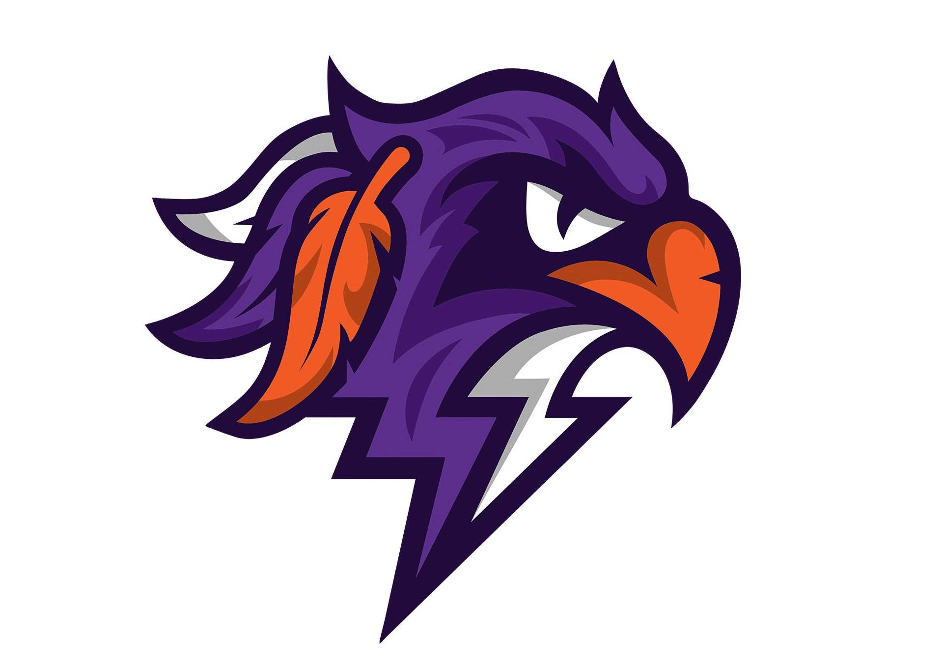 Halifax Thunderbirds vs Buffalo Bandits – Dec 19