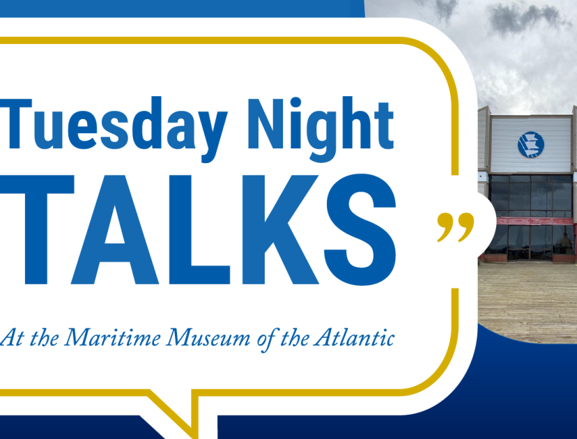 Nova Scotia Vessels as Research Platforms: The Sea Turtle Story