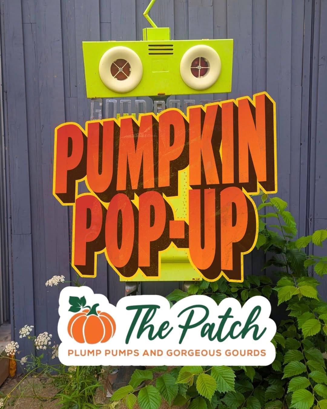 Pumpkin Patch Pop-Up at the Good Robot Commons Beer Garden