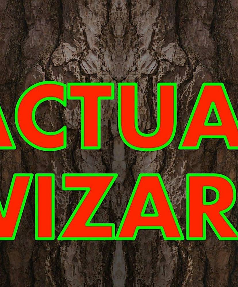 Actual Wizard – Live Magic Show at the Maritime Conservatory