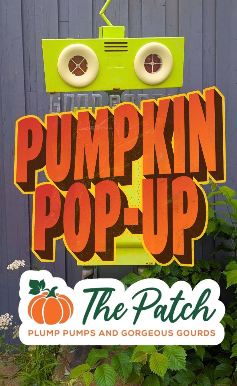 Pumpkin Patch Pop-Up at the Good Robot Commons Beer Garden